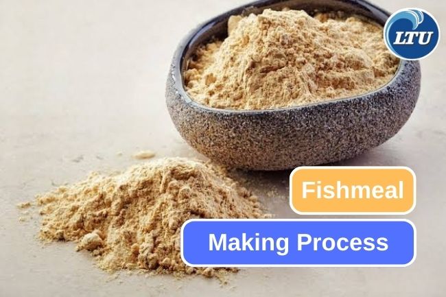 How Fishmeal Making Process Works